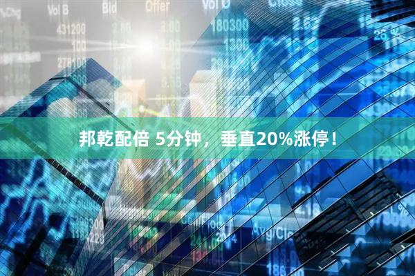 邦乾配倍 5分钟，垂直20%涨停！