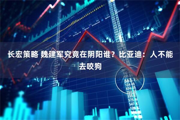 长宏策略 魏建军究竟在阴阳谁？比亚迪：人不能去咬狗