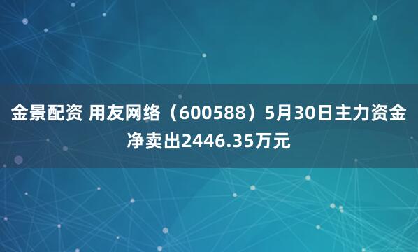 金景配资 用友网络（600588）5月30日主力资金净卖出2446.35万元