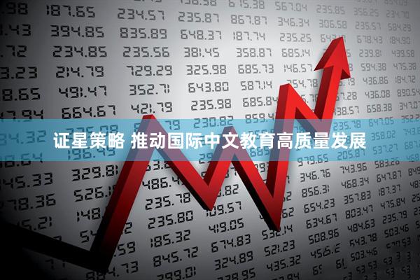 证星策略 推动国际中文教育高质量发展
