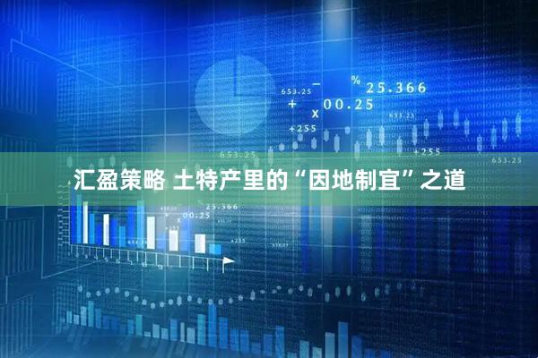 汇盈策略 土特产里的“因地制宜”之道