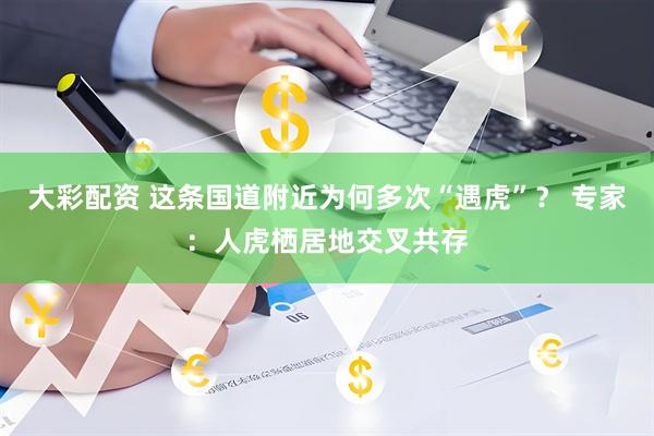 大彩配资 这条国道附近为何多次“遇虎”？ 专家：人虎栖居地交叉共存