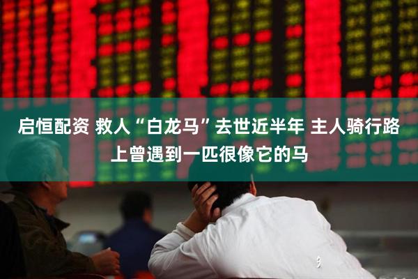 启恒配资 救人“白龙马”去世近半年 主人骑行路上曾遇到一匹很像它的马