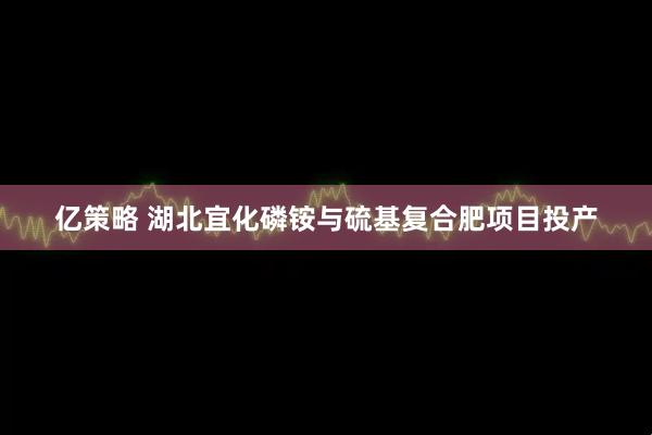 亿策略 湖北宜化磷铵与硫基复合肥项目投产