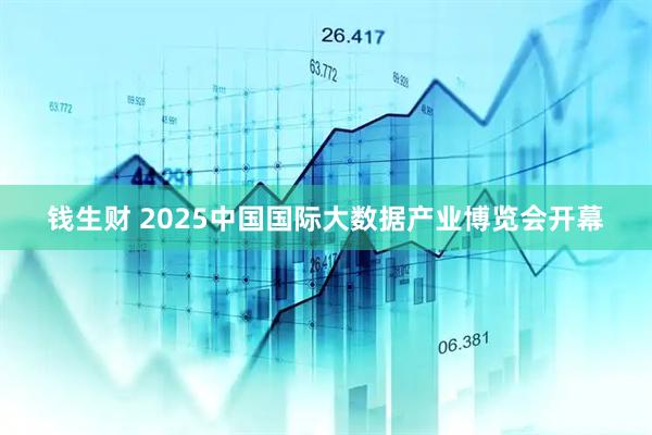 钱生财 2025中国国际大数据产业博览会开幕