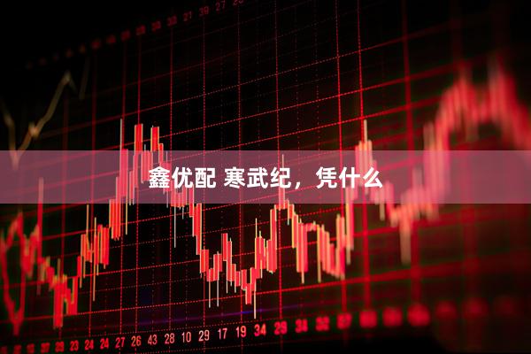 鑫优配 寒武纪，凭什么