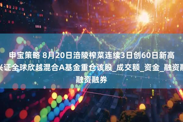申宝策略 8月20日涪陵榨菜连续3日创60日新高，兴证全球欣越混合A基金重仓该股_成交额_资金_融资融券