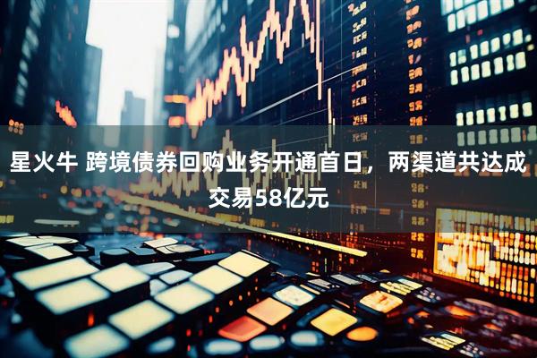 星火牛 跨境债券回购业务开通首日，两渠道共达成交易58亿元