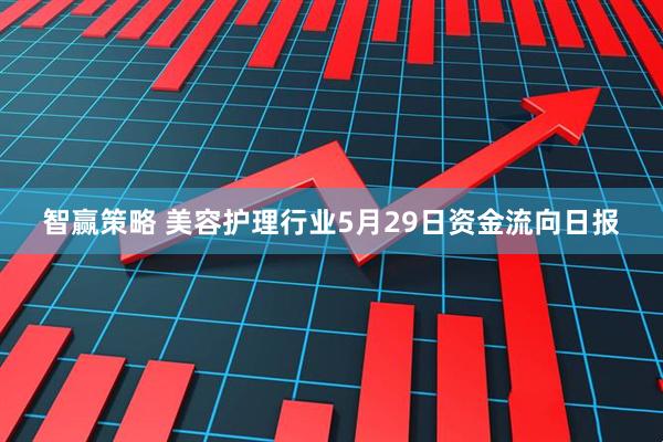 智赢策略 美容护理行业5月29日资金流向日报